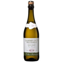lambrusco-fabrizia-vinho